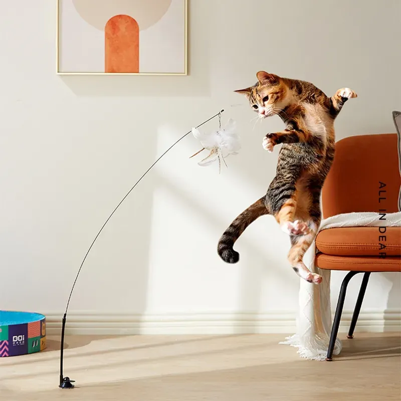 Kätzchen Zauberstab Spielzeug🐱🌻 Abwechslung ist die Würze des Lebens, auch für Ihre Katze.